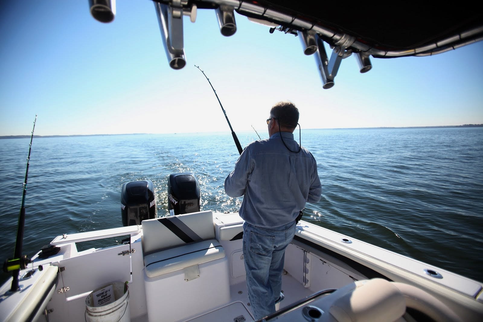 Fish tour - İzmir, Çeşme